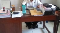 IMG-20190907-WA0025