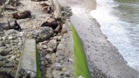 IMG-20210608-WA0154