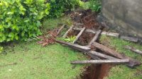 IMG-20220614-WA0372