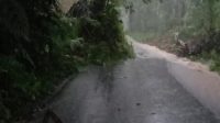 IMG-20221018-WA1162