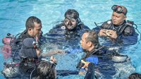 IMG-20230222-WA0287