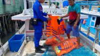 IMG-20230404-WA0269