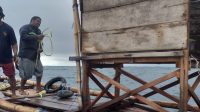 IMG-20230612-WA0774