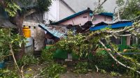 IMG-20230709-WA1017