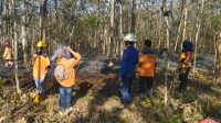 IMG-20230719-WA0539
