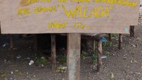 IMG-20241014-WA0156