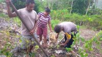 IMG-20241029-WA0271