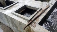 IMG-20241216-WA0392