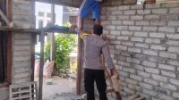 IMG-20241219-WA0357