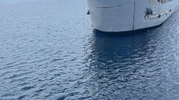 IMG-20260317-WA0084
