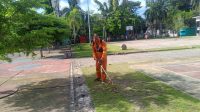 IMG-20260513-WA0175