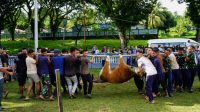 IMG-20260527-WA0128